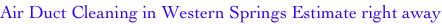 shapeimage_1_link_0